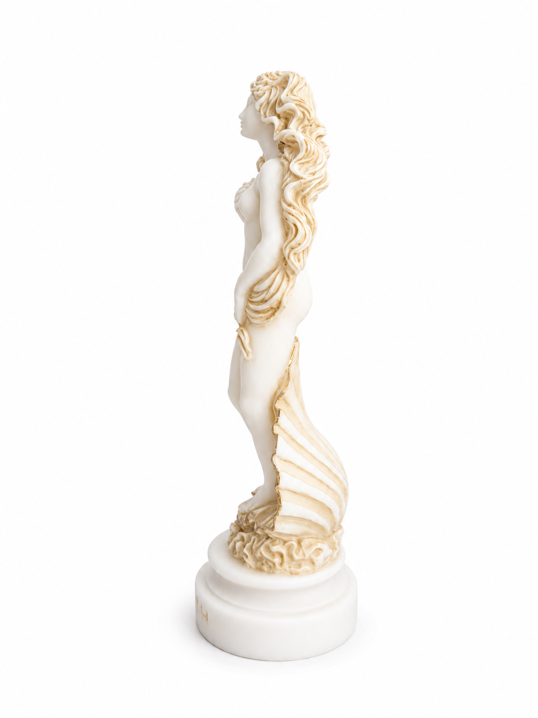 Botticelli's Aphrodite — image 5
