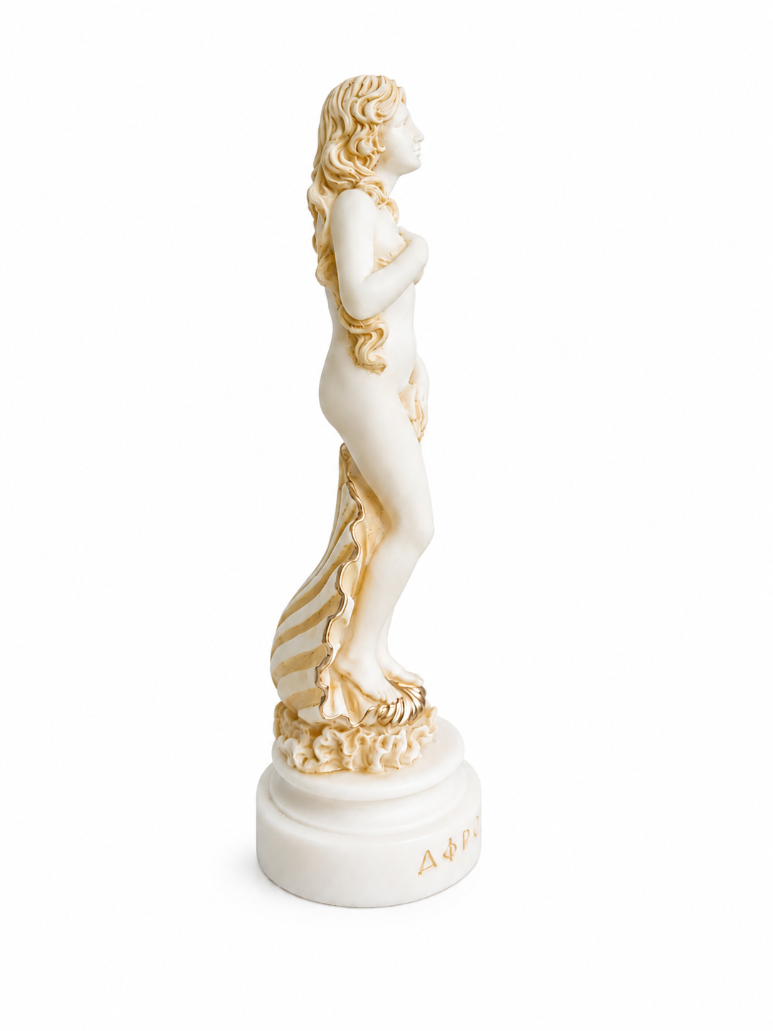 Botticelli's Aphrodite — image 7