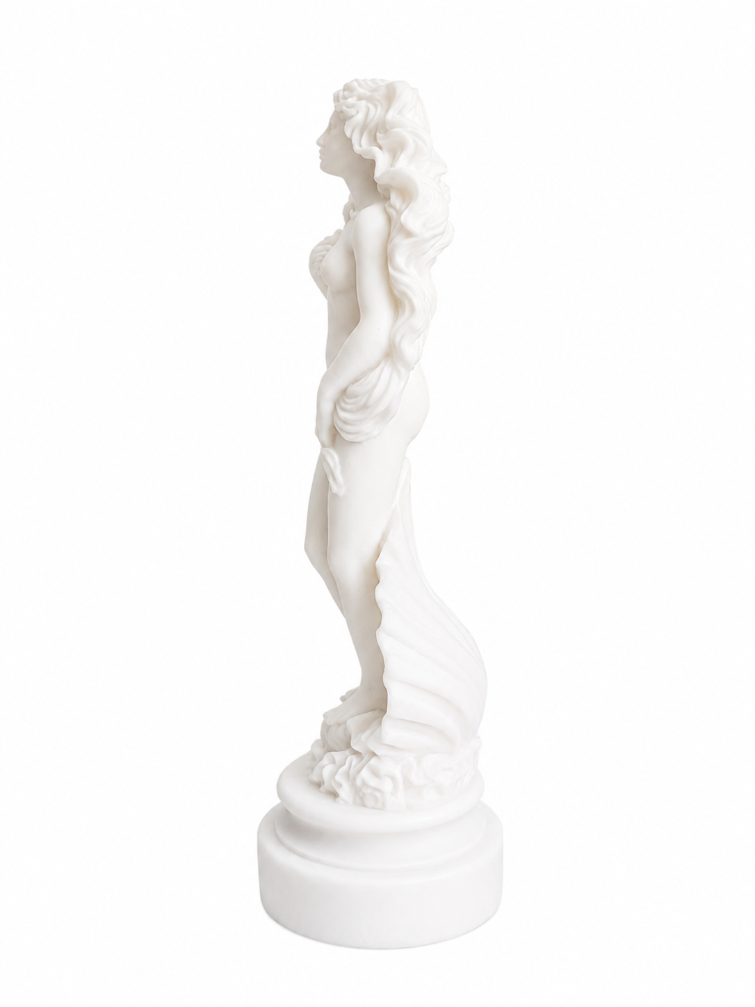 Botticelli's Aphrodite — image 11