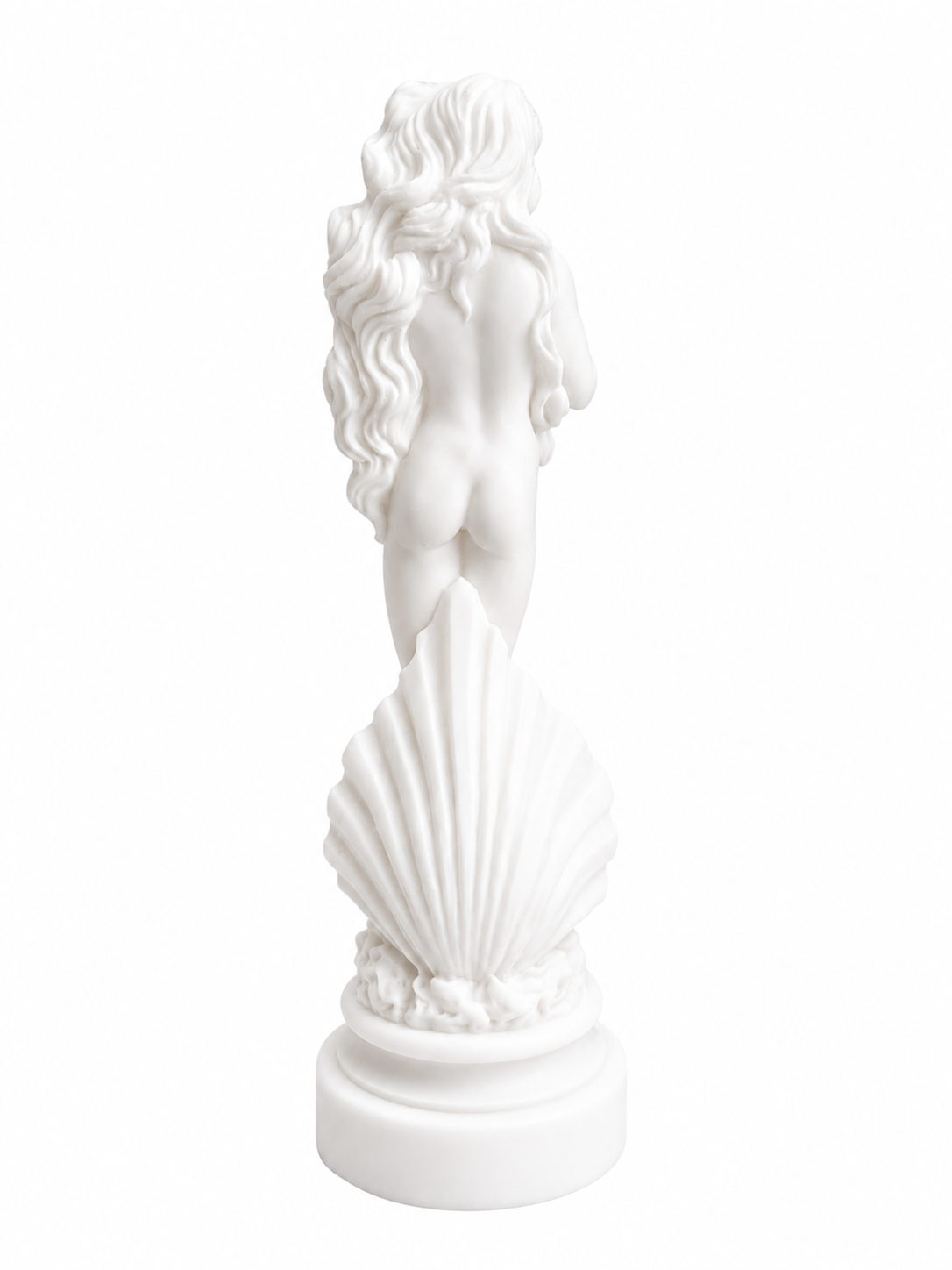 Botticelli's Aphrodite — image 2