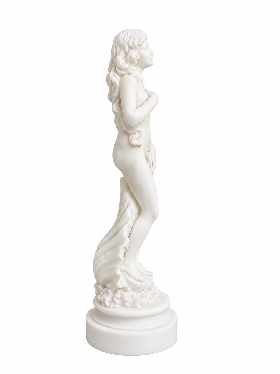 Botticelli's Aphrodite — image 4