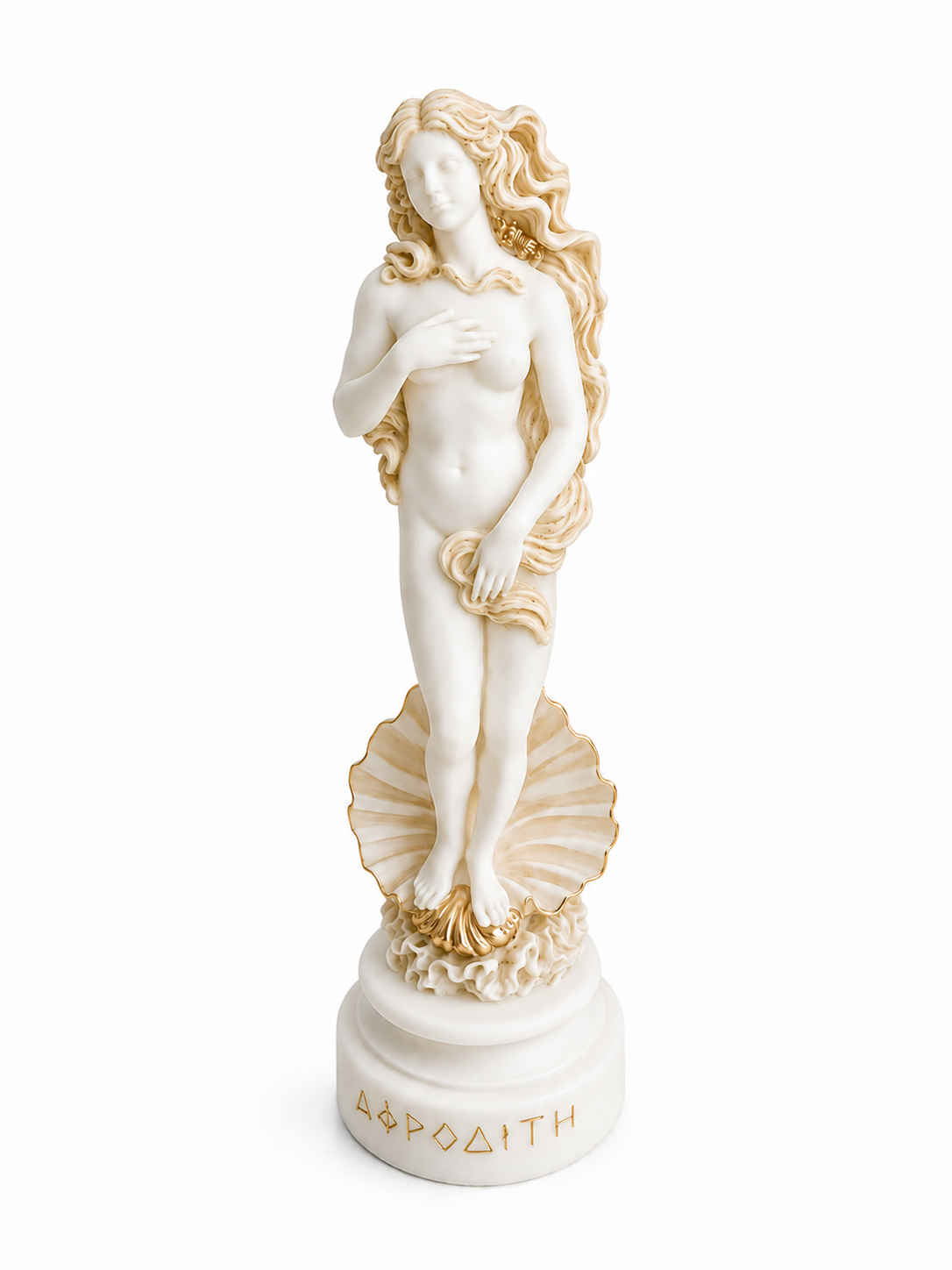Botticelli's Aphrodite — image 6