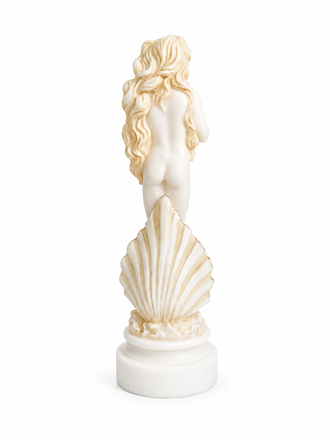 Botticelli's Aphrodite — image 7