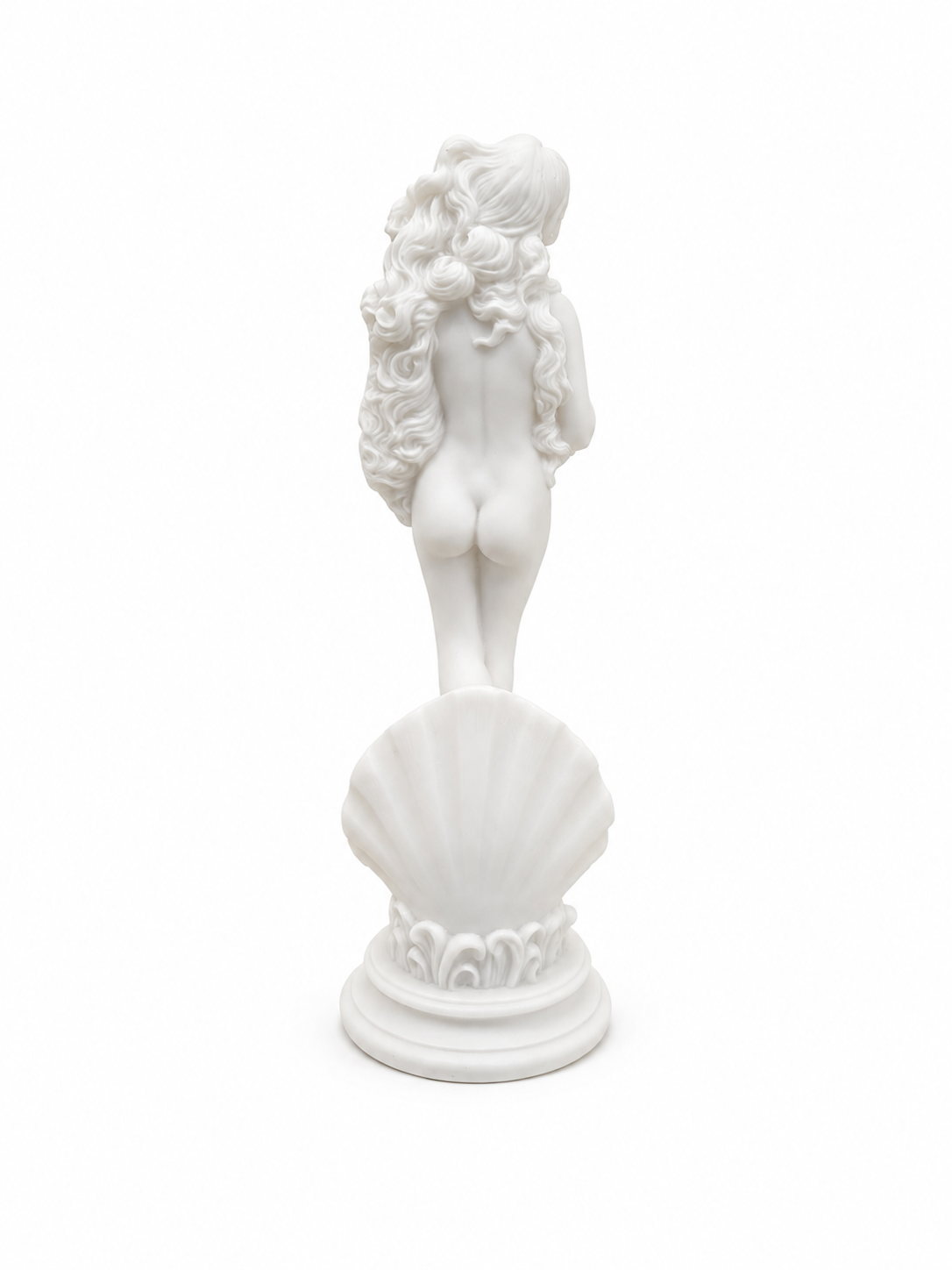 Botticelli's Aphrodite — image 3