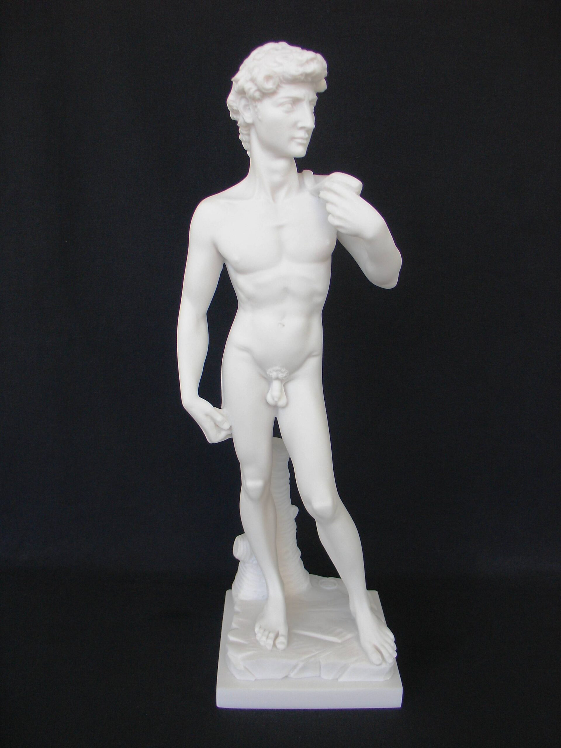 David (Michelangelo) exact copy